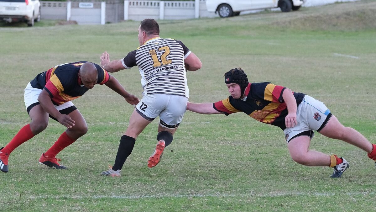 transfert rugby édouard suivre progression jabea