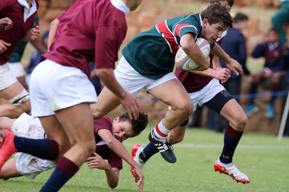 transfert rugby kolinio repères chiffrés montrent