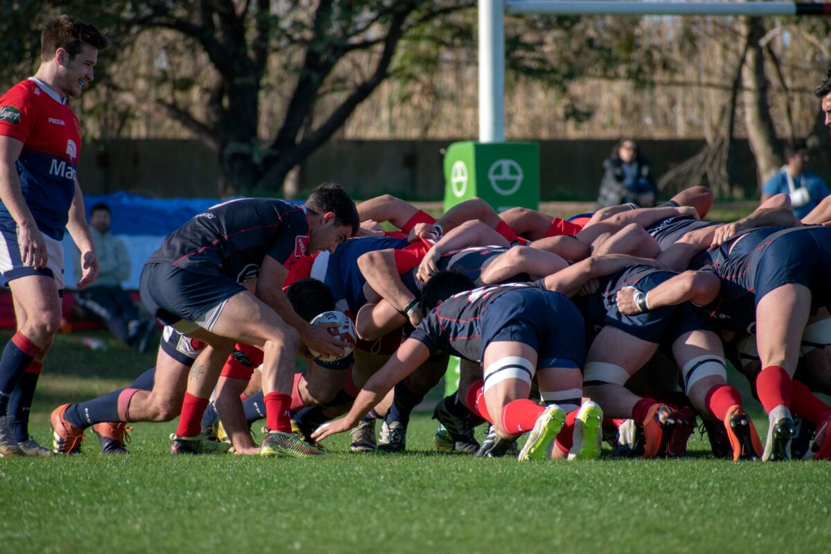 transfert rugby tom conséquences concrètes bayonne
