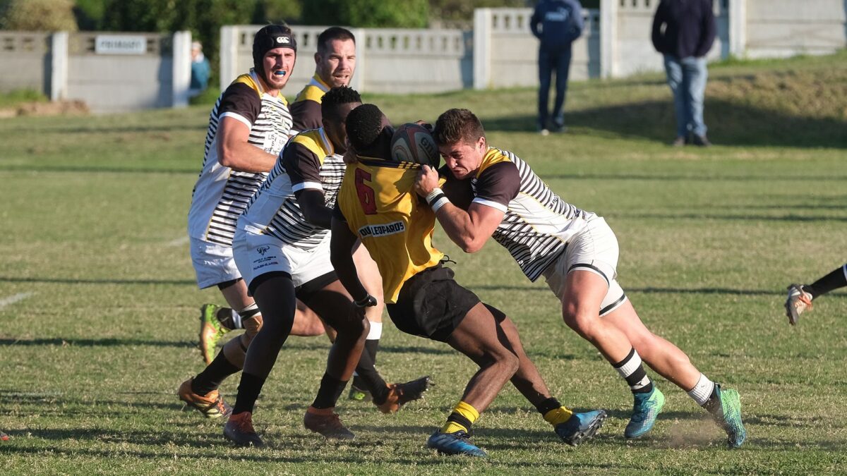 transfert rugby branden rôles attendus jeu