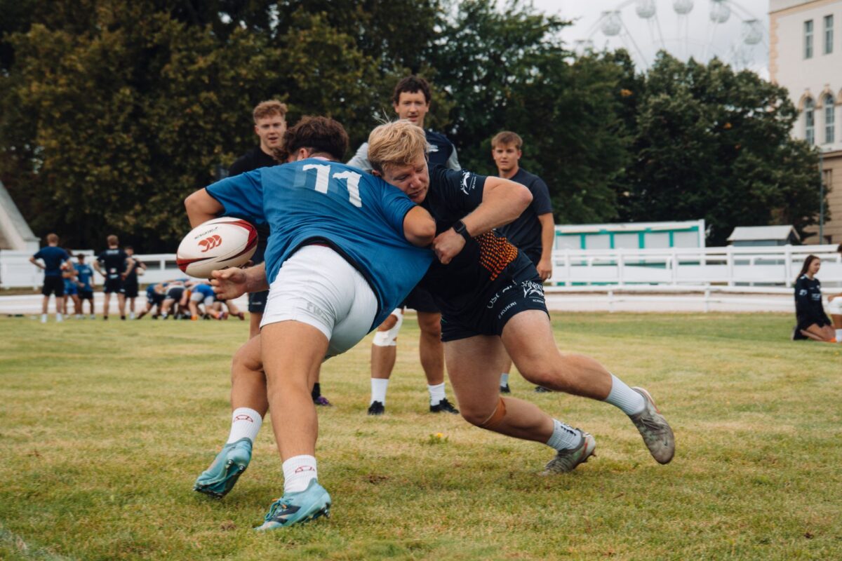 transfert rugby mate limites risques top